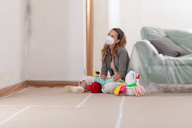 Reliable Mold Remediation contractor in Leland Grove, IL by 24 Hour Mold Removal